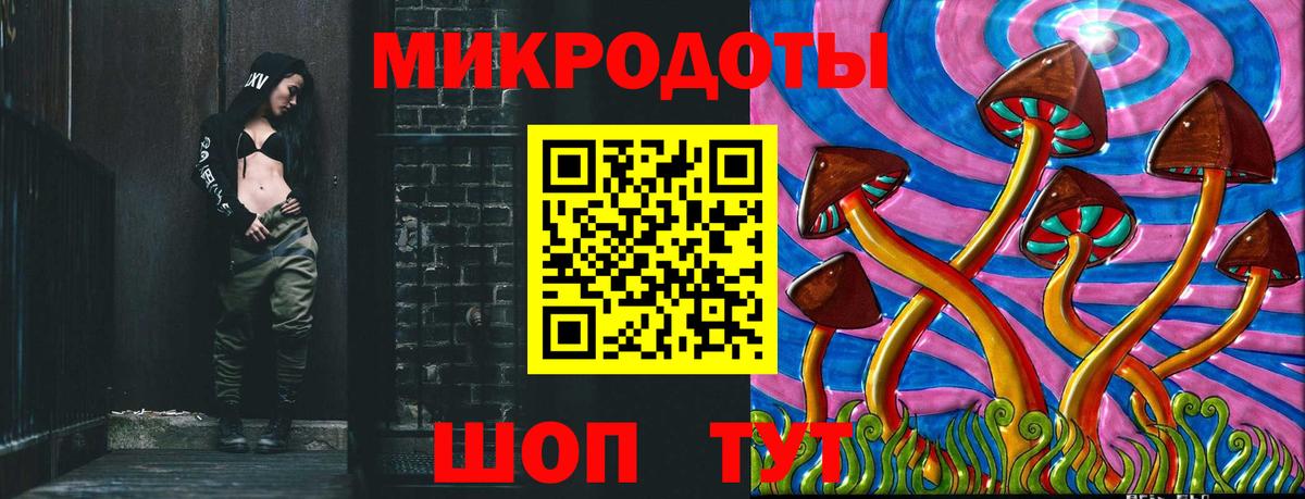 Псилоцибиновые грибы Psilocybe Горячий Ключ