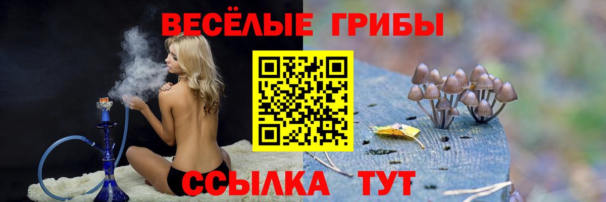 Горячий Ключ  Псилоцибиновые грибы ЛСД  Вход с VPN 